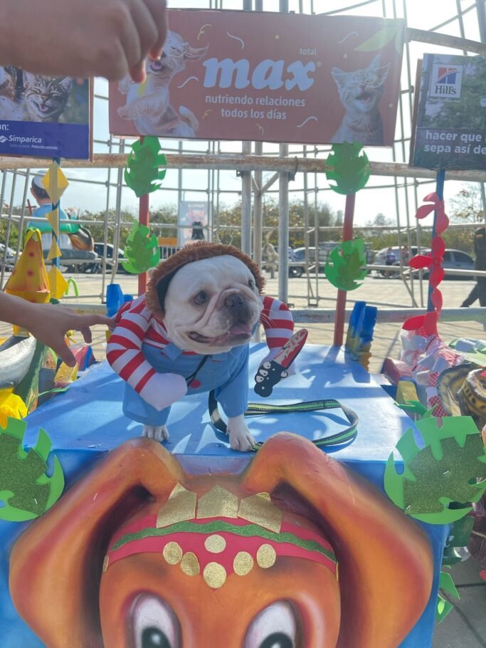 Carnaval Pet Lovers 2026, el de las mascotas, en el Gran Malecón de Barranquilla