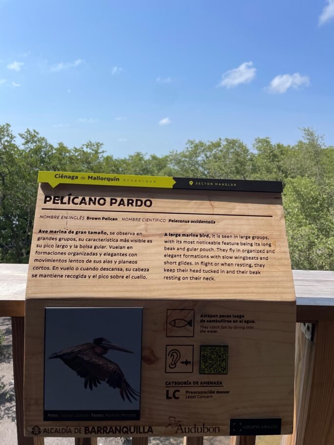 Ecoparque Ciénaga de Mallorquín presenta su primera galería educativa de aves
