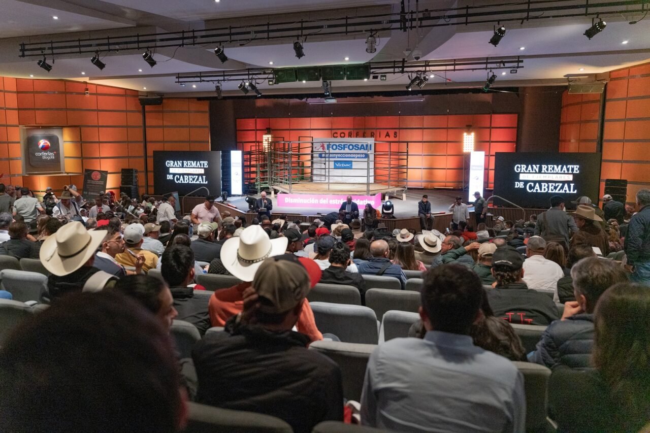 Más de $1.700 millones en ventas en remates de Asocebú en primera semana de Agroexpo