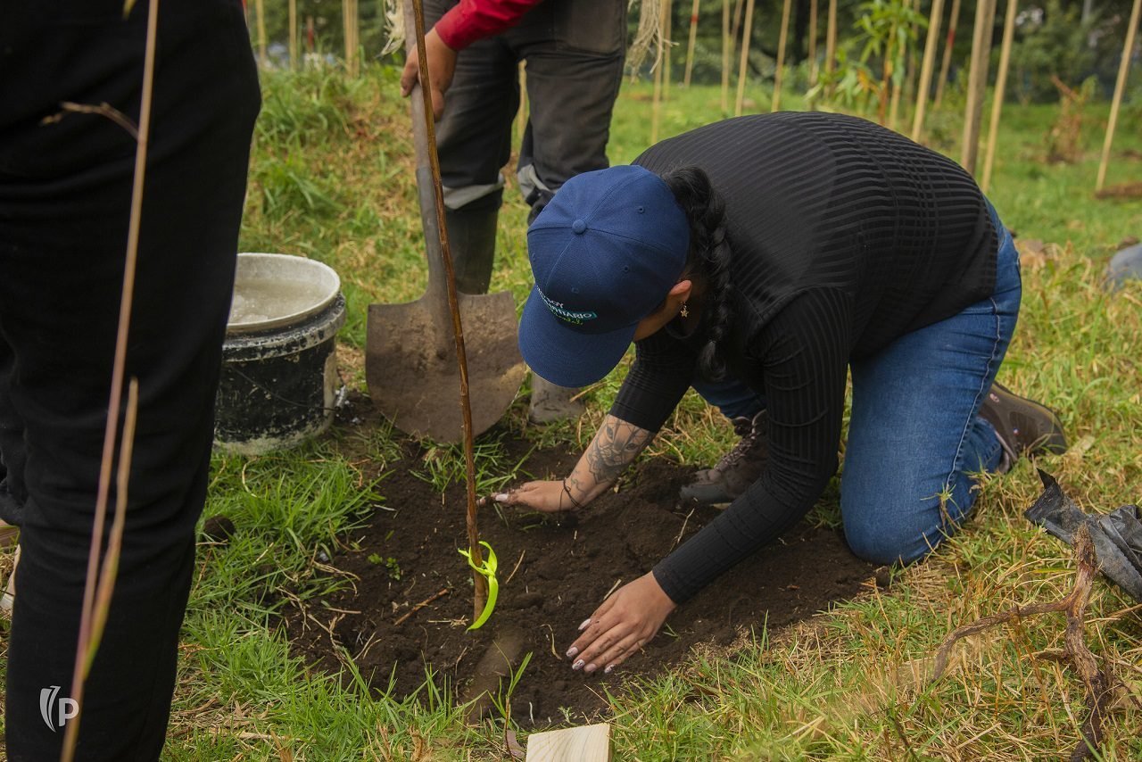 Los agronegocios se abren paso como una estrategia eficiente contra el hambre
