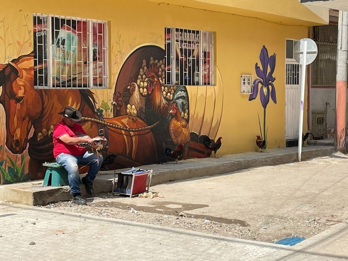 Fundación Pintuco: más de $6 mil millones para procesos sociales, culturales y económicos en más de 10 departamentos
