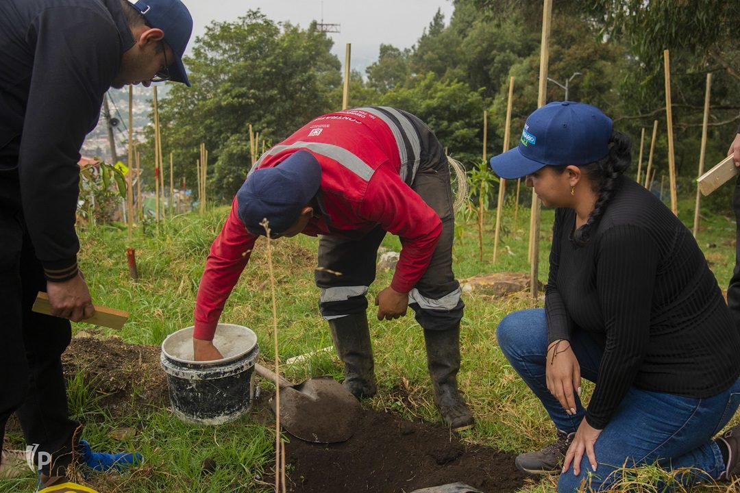 El cambio climático, un reto silencioso para la salud mental de los trabajadores