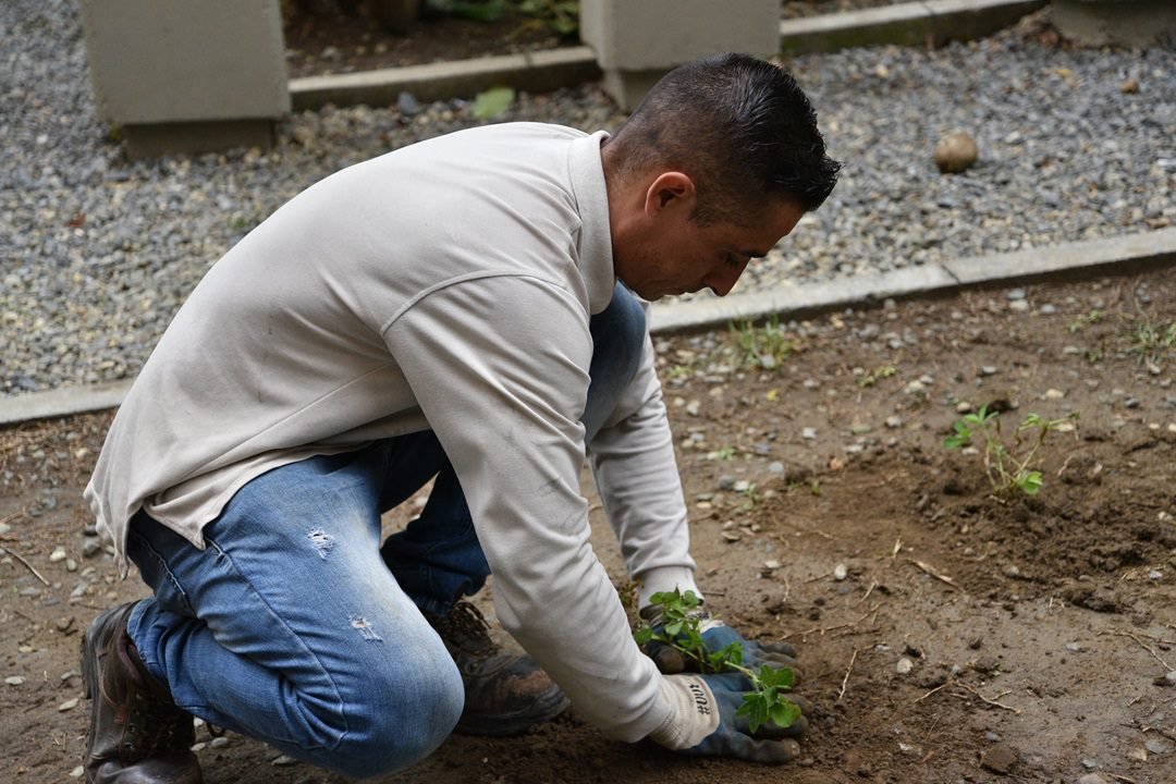 ¿El cambio climático afecta la salud mental de los campesinos colombianos?