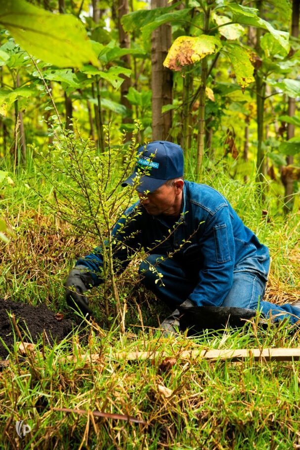 El cambio climático, un reto silencioso para la salud mental de los trabajadores