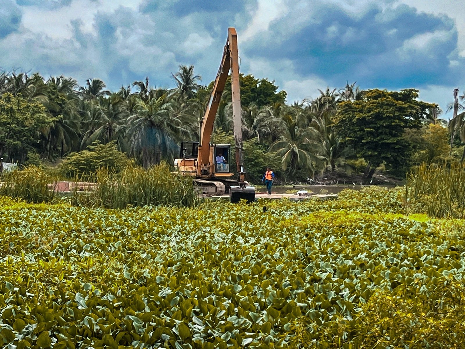 Certificación de la ONU a Barranquilla por recuperar y conservar ecosistemas