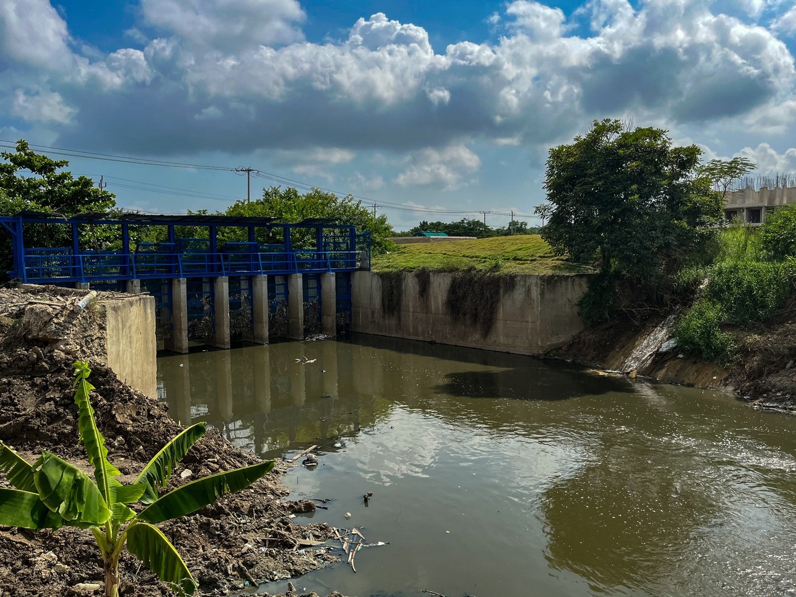 Certificación de la ONU a Barranquilla por recuperar y conservar ecosistemas