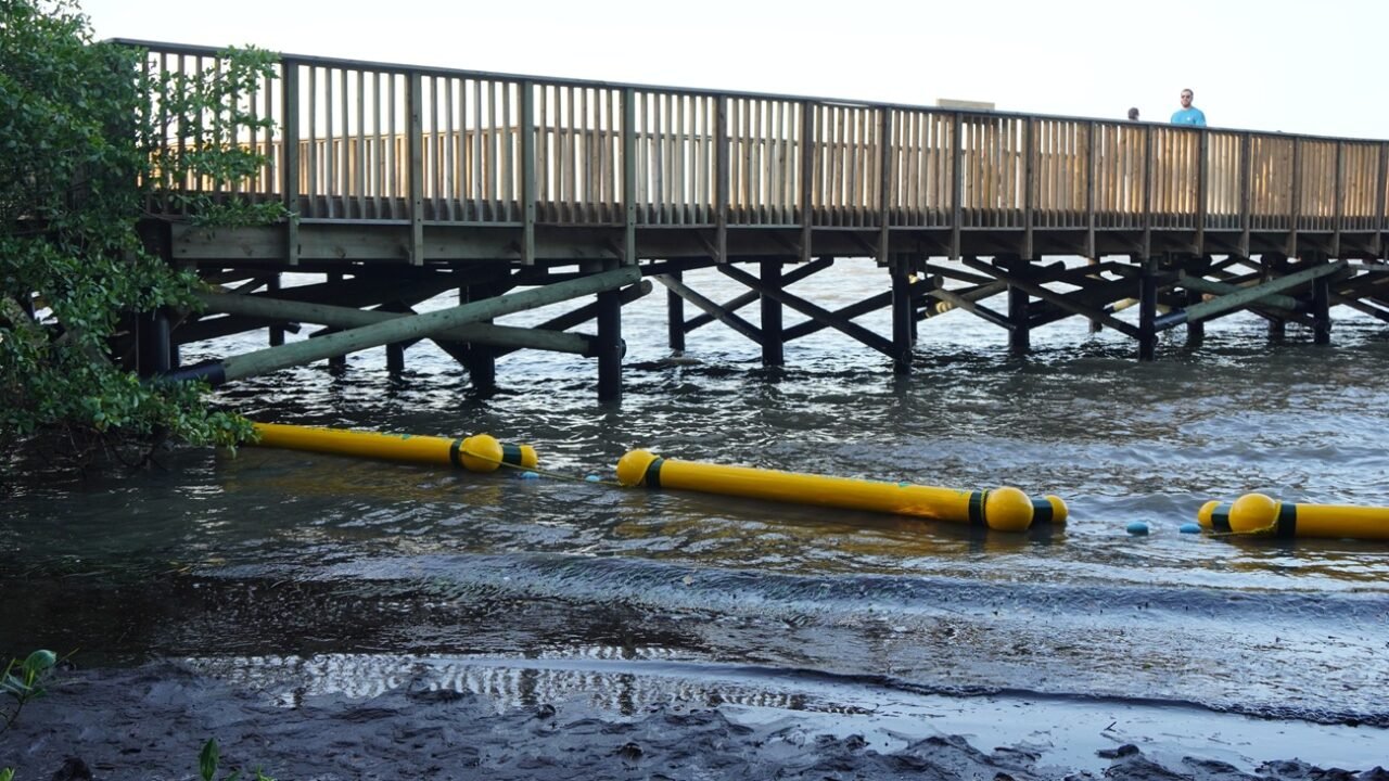 Instalan retenedores flotantes para proteger el manglar de la ciénaga de Mallorquín
