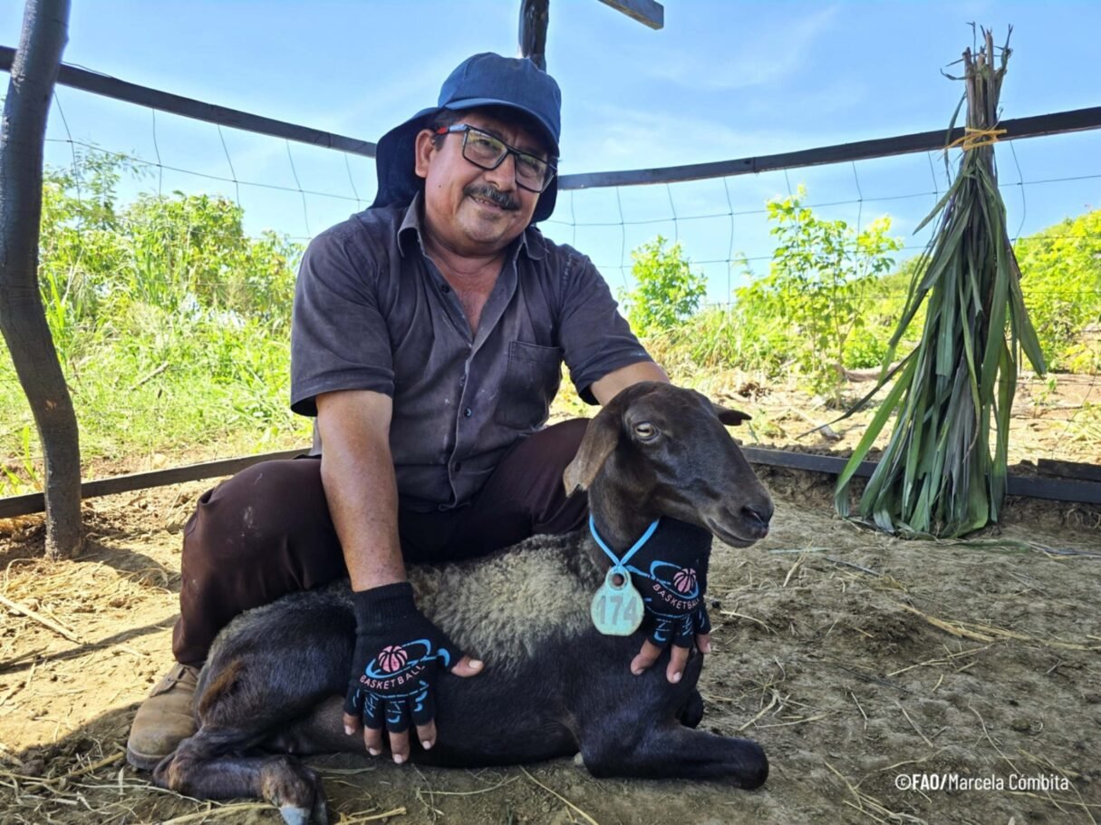 Zambrano, Bolívar, le apuesta a la paz desde el campo
