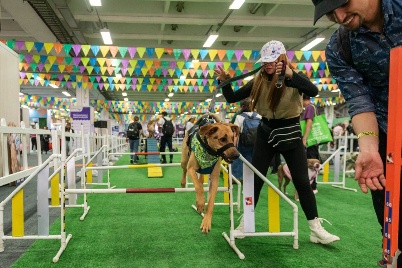 Mascotas y diversión: Expopet cumple diez años de experiencias inolvidables en 2025