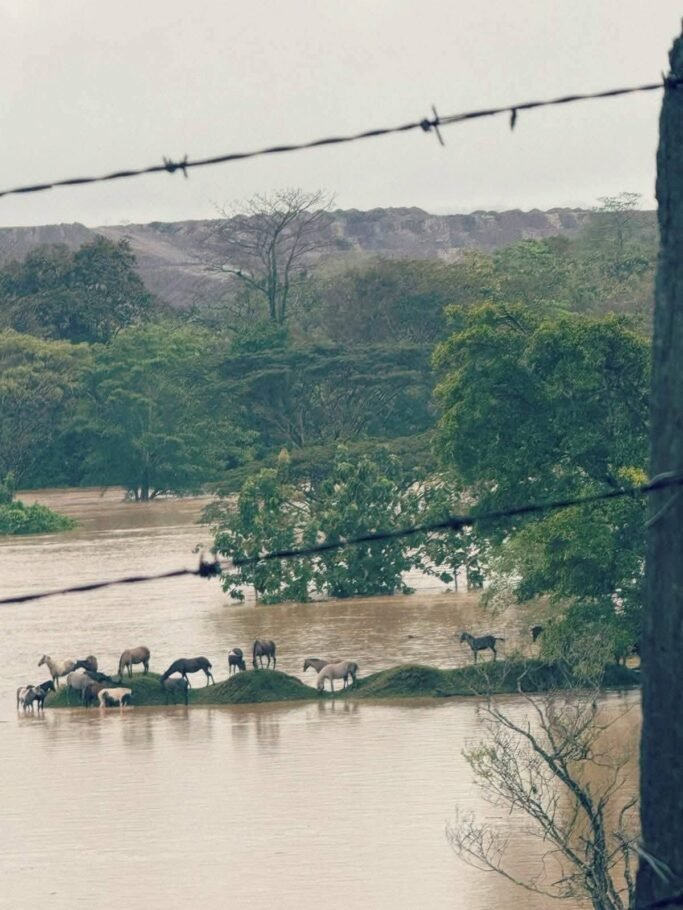 Córdoba  y Santa Marta bajo calamidad pública por fuertes lluvias