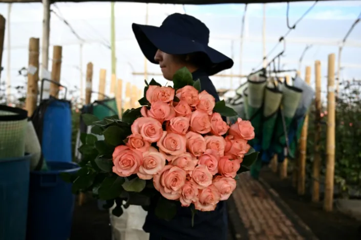 Celebración para las madres en su día: de todo como en botica con toures extremos, compras y gastronomía