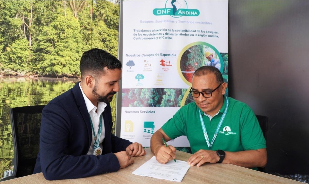 Colombia avanza en materia forestal sostenible