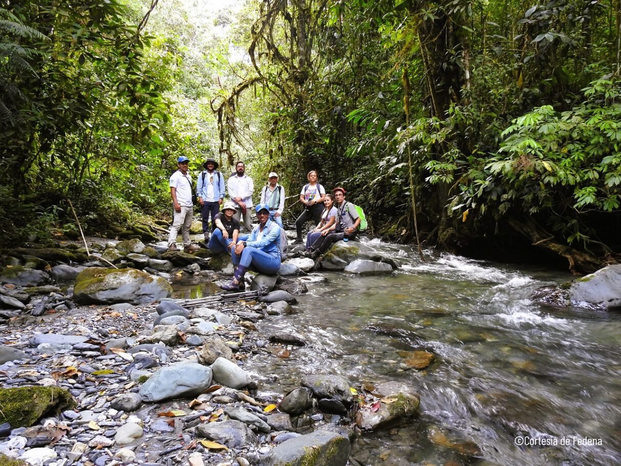 El cambio climático hace más vulnerable al sistema de bosques en el mundo