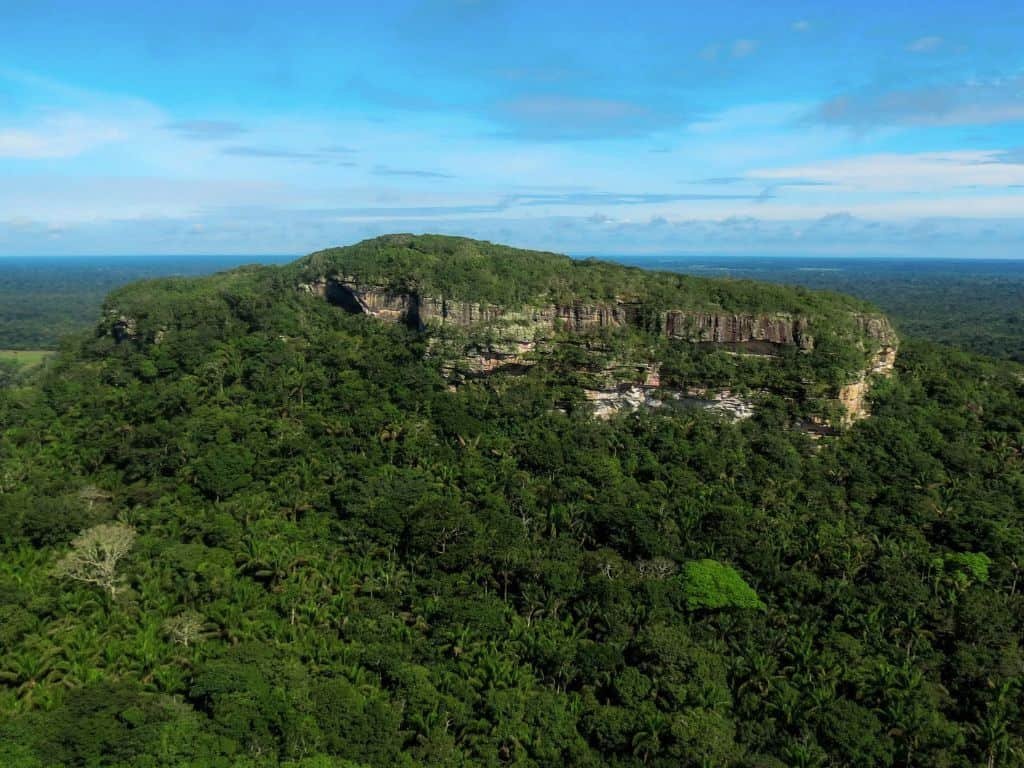 Guaviare, pionero en bioeconomía con meta de deforestación cero a 2036