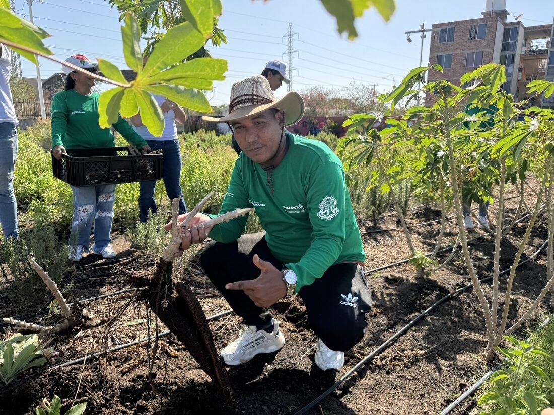 Huerta comunitaria de Las Gardenias: se han cosechado 200 kilogramos de productos