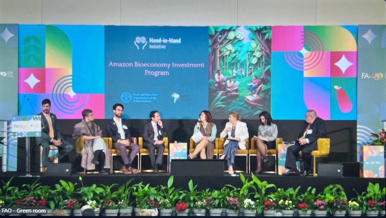 Impulso a bioeconomía amazónica con un programa de inversiones sostenibles 