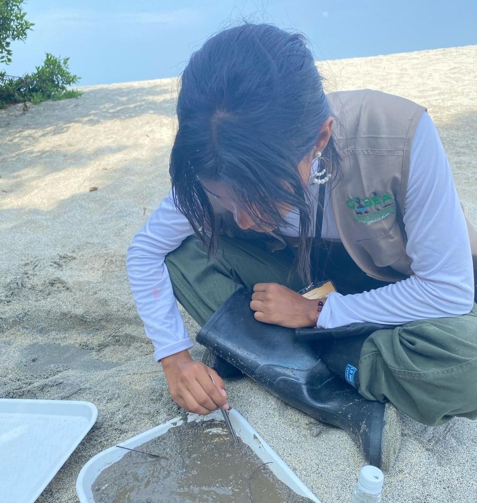 Humedales de Playa Dormida están urgidos de protección