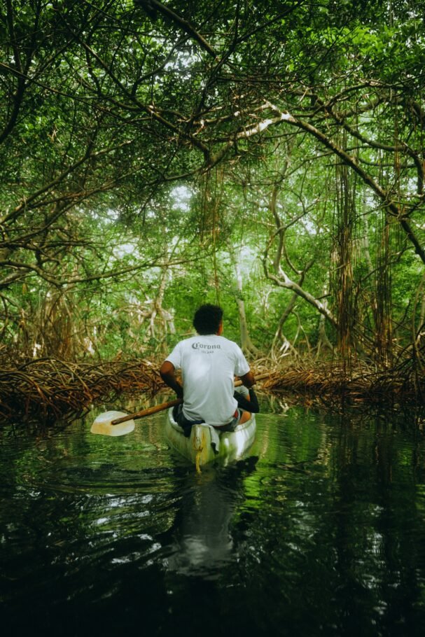 ¿Un nuevo destino en el Caribe? ¡Isla Corona abre sus puertas al público!