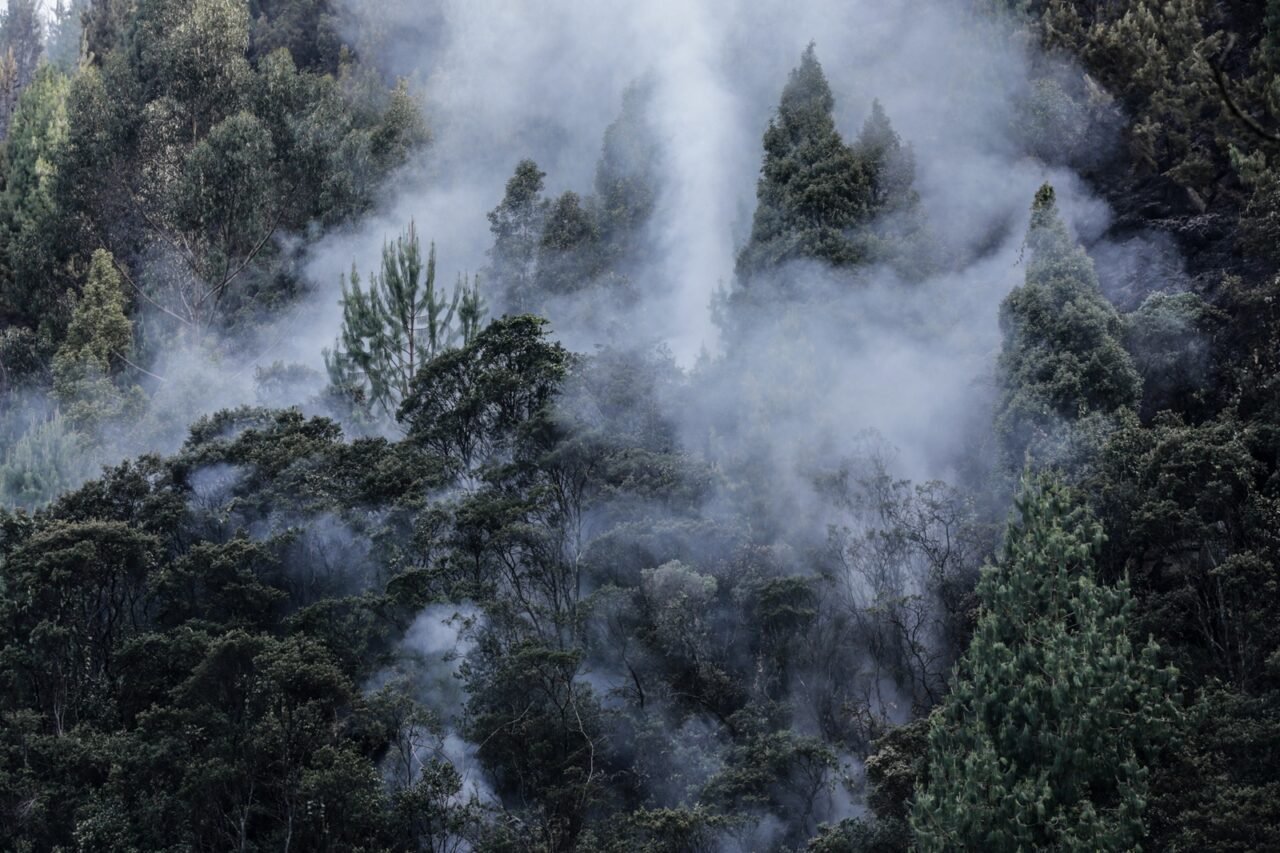 9 de cada 10 colombianos expresan alto interés por la crisis ambiental