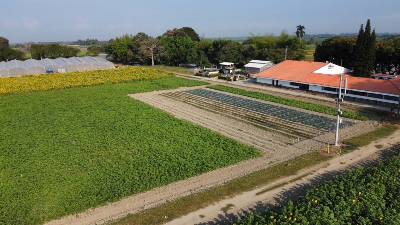 Bayer impulsa Agricultura Regenerativa en el país a través del iHUB La Tupia