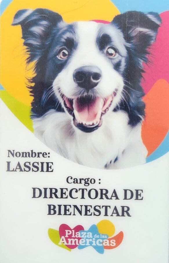 Bogotá: Plaza de las América presenta equipo canino que brinda apoyo emocional