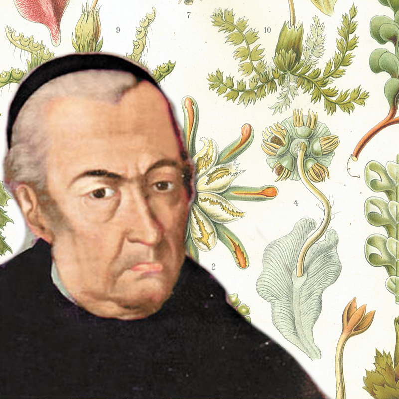 La Expedición Botánica: una empresa titánica
