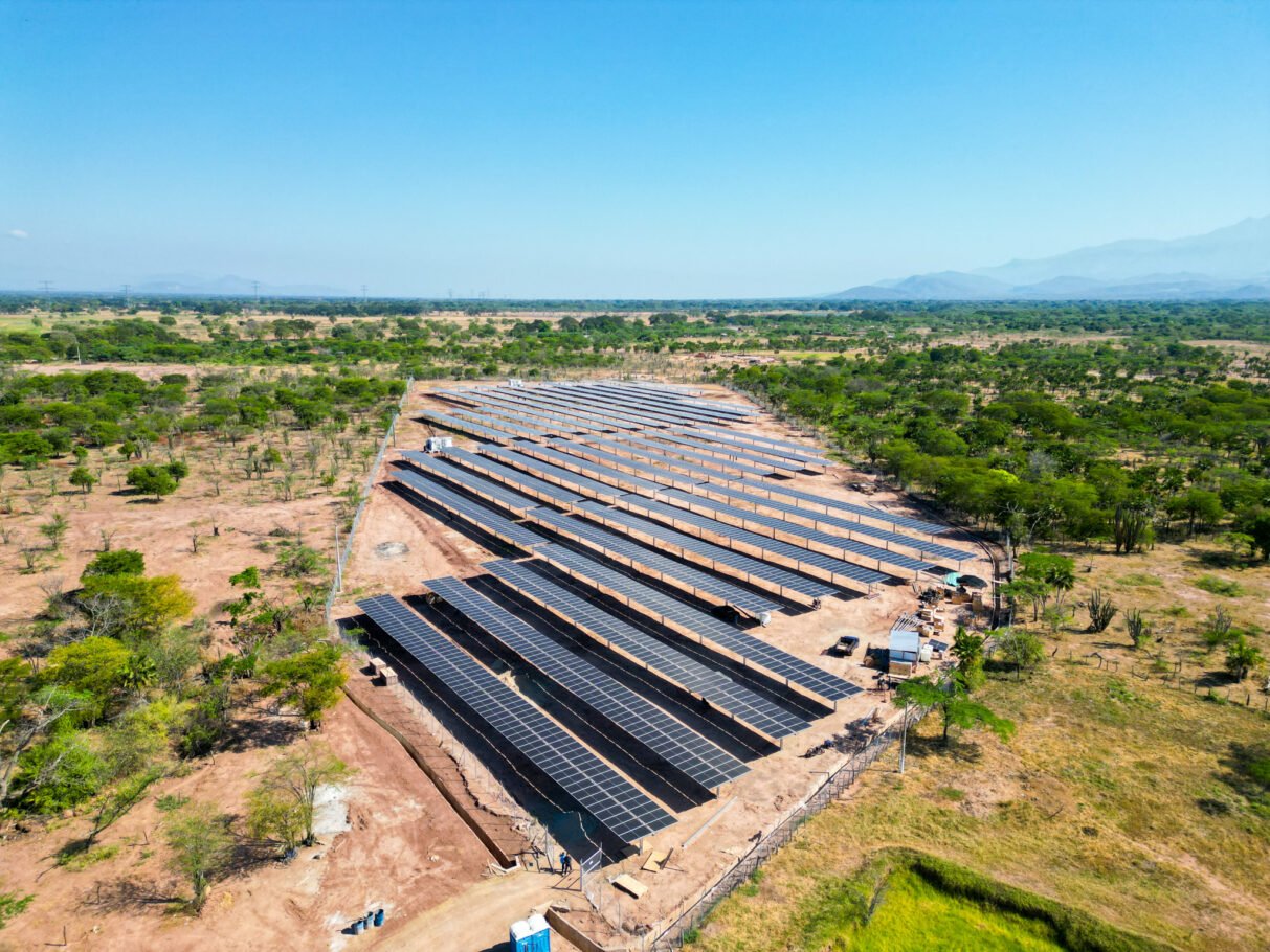 Con financiación holandesa, Solenium destina más de $100 mil millones a construcción de 40 minigranjas solares