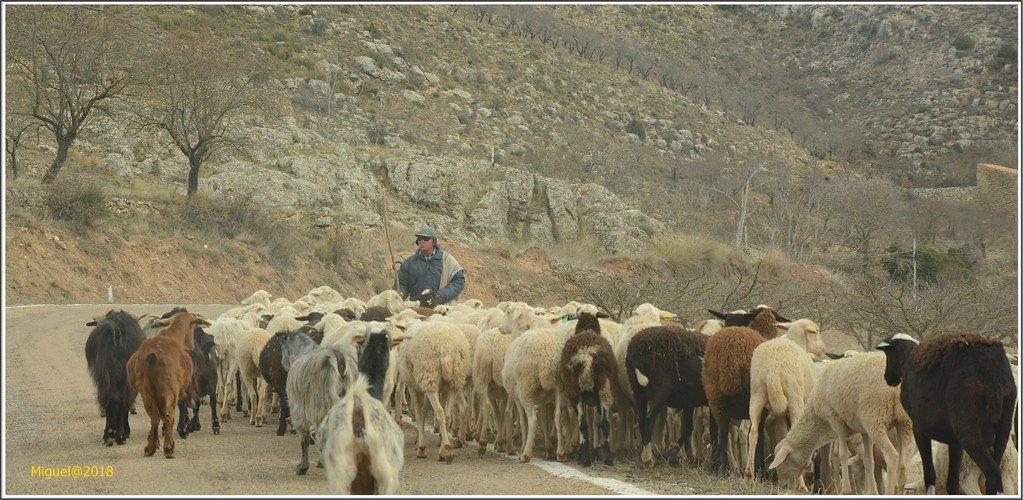 Días asombrosos en Jordania