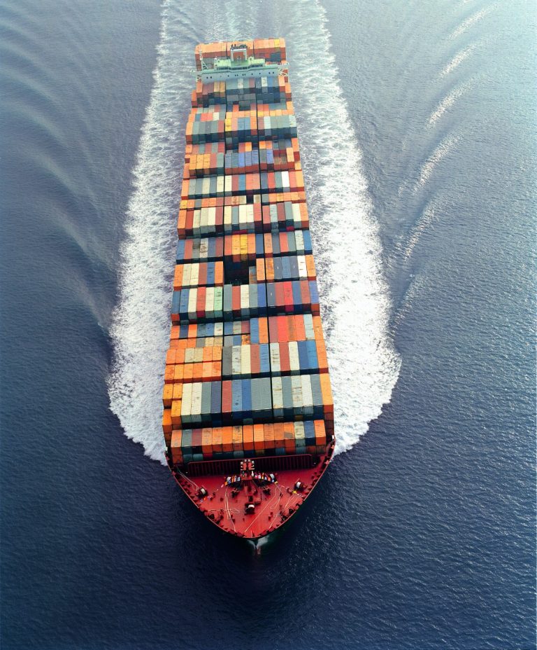 Ballenas y huracanes, un desafío al comercio exterior del país