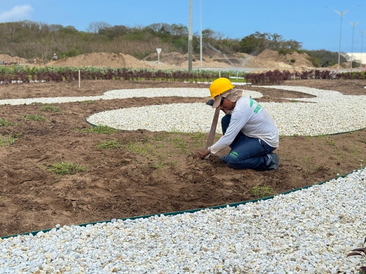 ¡La rotonda de la calle 98 florece como un jardín de Cayenas!: alcalde Char