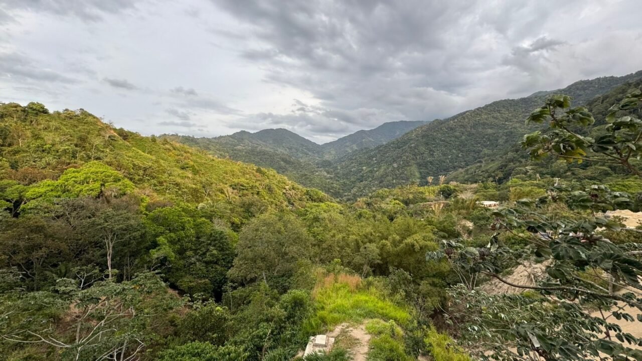 Nace en Santa Marta Sierra Valley, primer laboratorio territorial de sostenibilidad con proyección internacional
