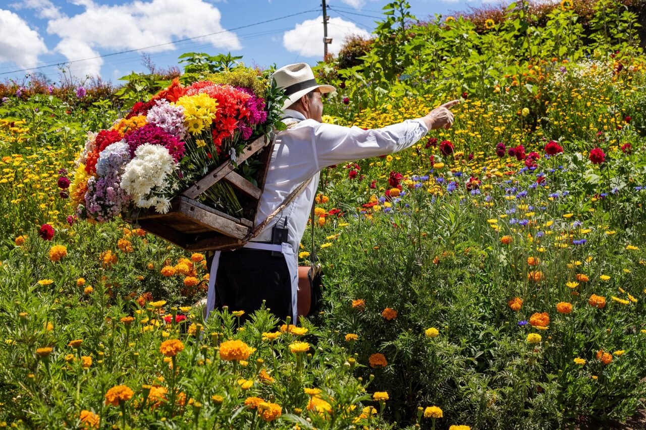 Feria de las Flores impulsa el turismo rural: Santa Elena, Guatapé y Jardín entre los más reservados