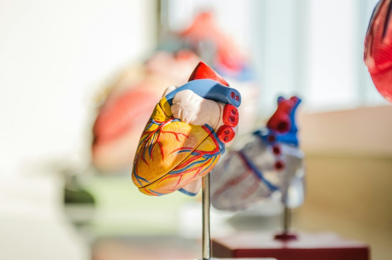 Cada día más infartos: adultos jóvenes entre 40 y 49 años están en alto riesgo