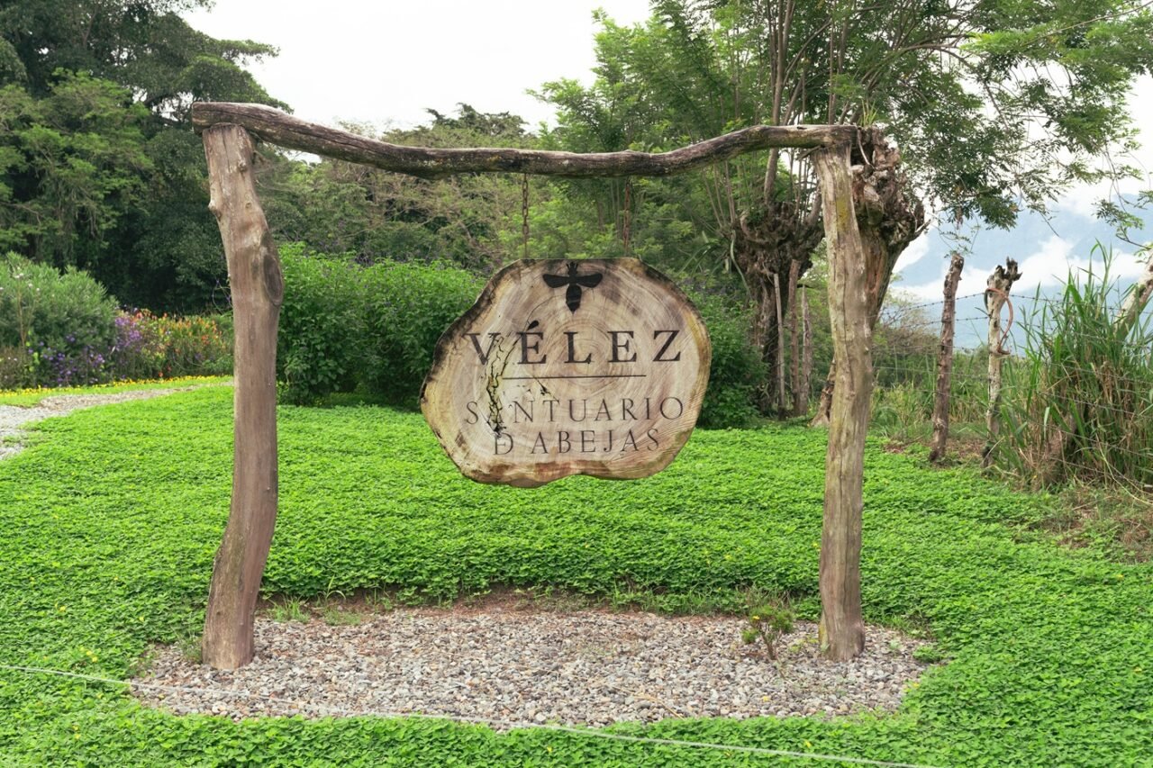 Por qué Cueros Vélez protege a 120 mil abejas en un santuario de 12 colmenas