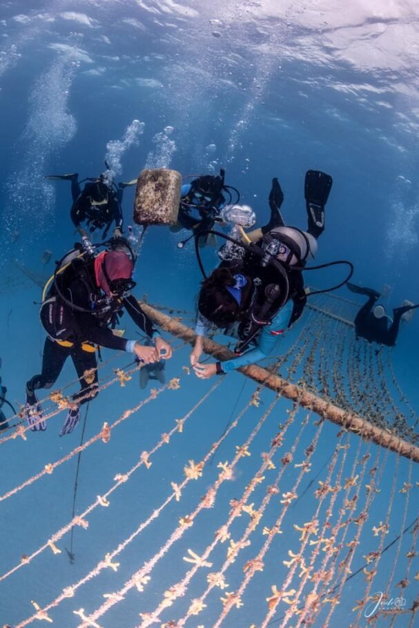 Para disfrutar en destinos que apuestan por la ancestralidad y la biodiversidad 