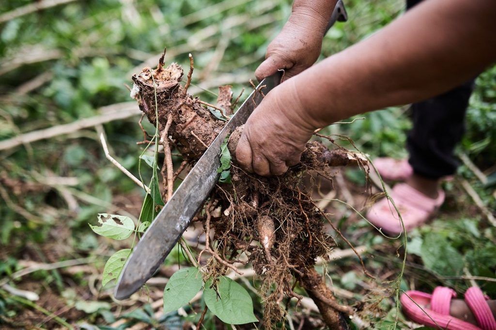 Más de 12 millones de colombianos siguen sufriendo la inseguridad alimentaria