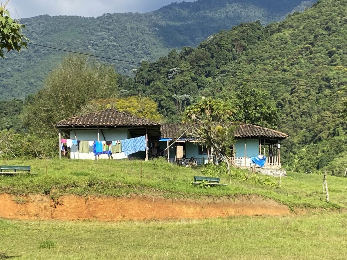 Acceso, tenencia y gobernanza de la tierra, asuntos claves para el desarrollo rural en Colombia