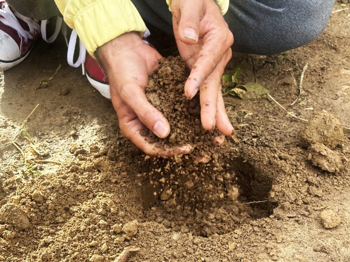 Acceso, tenencia y gobernanza de la tierra, asuntos claves para el desarrollo rural en Colombia