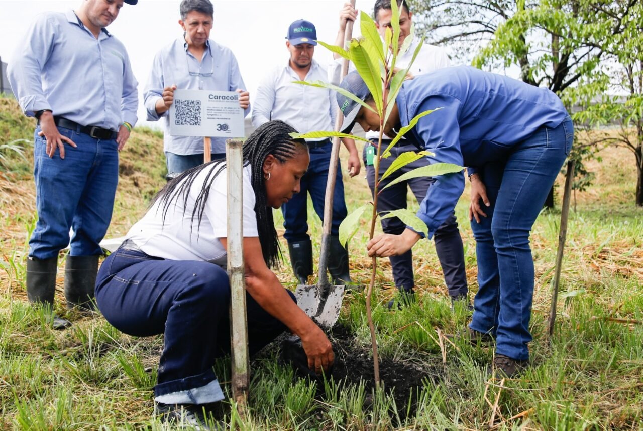 Ecoaguas 30 años: 2 millones de árboles sembrados y 5 mil hectáreas restauradas en varios territorios