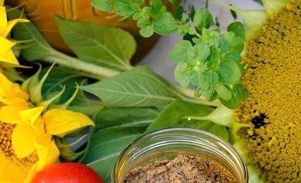 ¡Gastronomía con Propósito! El “Menú por el Planeta”
