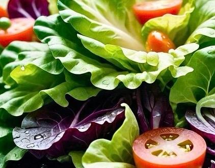 ¡Gastronomía con Propósito! El “Menú por el Planeta”