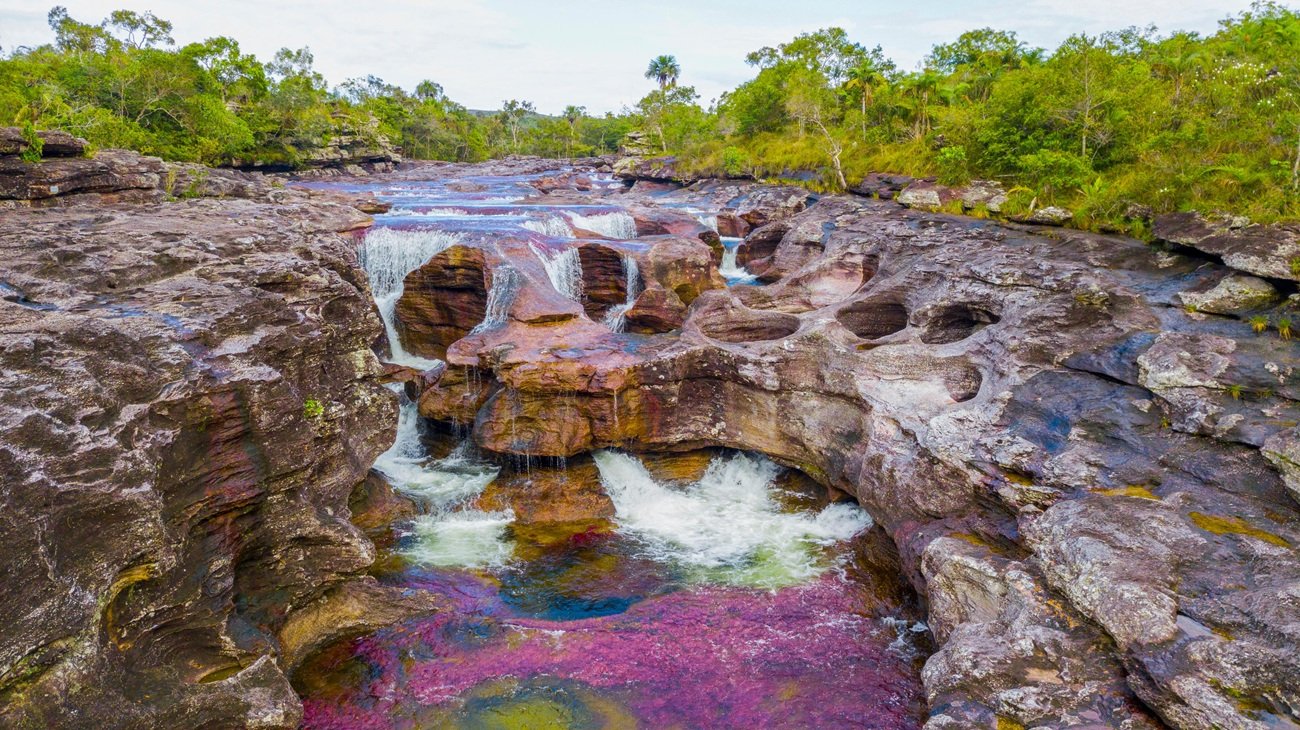 Vuelos directos desde Bogotá a La Macarena para disfrutar Caño Cristales