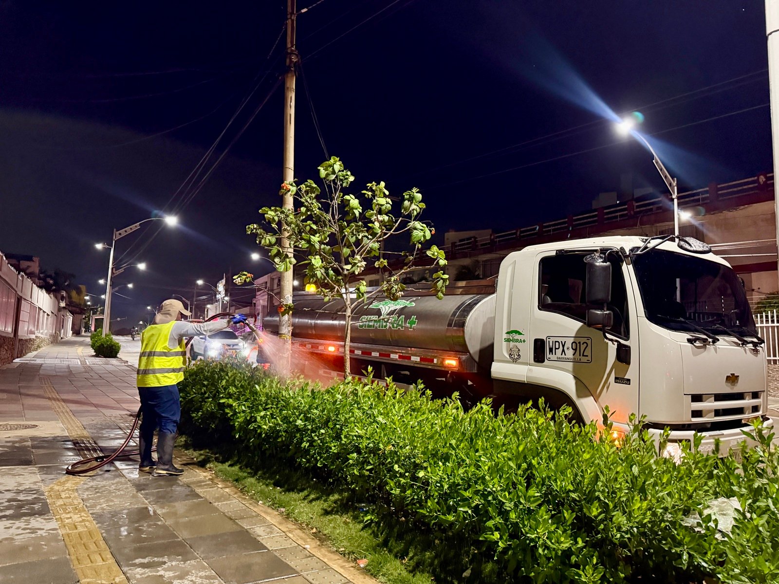 Barranquilla le apuesta a más árboles y zonas verdes contra el cambio climático