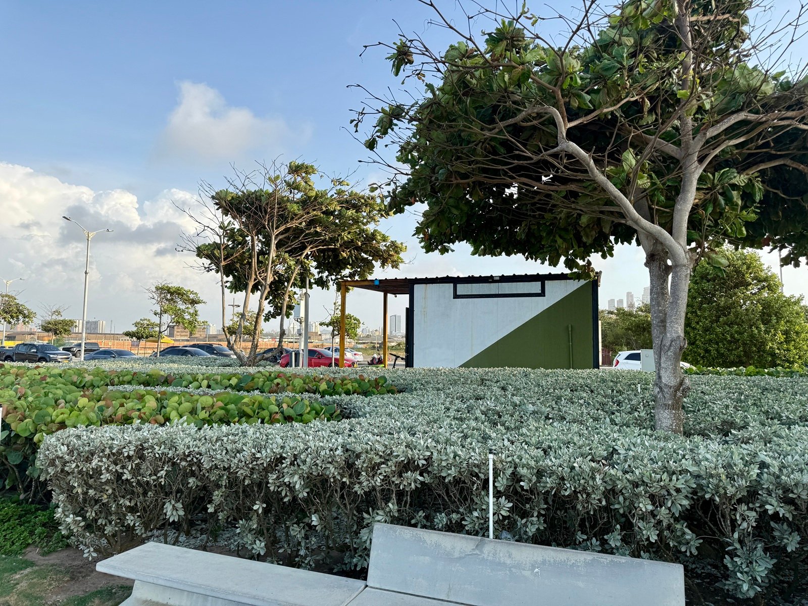 Barranquilla le apuesta a más árboles y zonas verdes contra el cambio climático