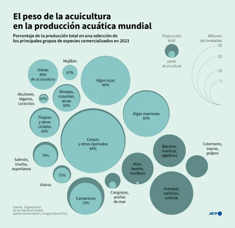 Los océanos no deben convertirse en el “Far West” de la explotación, advierte la ONU