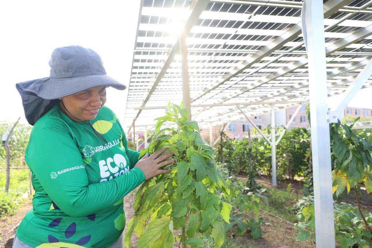 En Las Gardenias funciona la primera comunidad energética de Barranquilla
