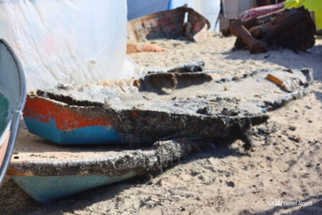 Testimonio: renovar el acceso al mar es vital para la seguridad alimentaria en Gaza