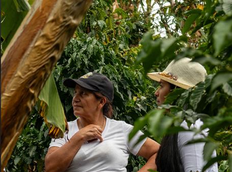 En las montañas de Colombia, las mujeres sostienen el café… pero siguen siendo invisibles
