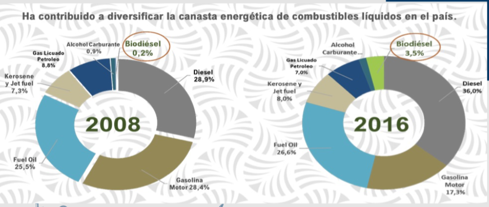 ¡S.O.S por los biocombustibles!