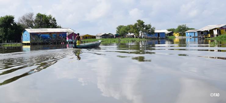 Palafitos que laten: rutas de Paisajes Sostenibles en la Ciénaga Grande